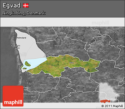 Satellite 3D Map of Egvad, desaturated
