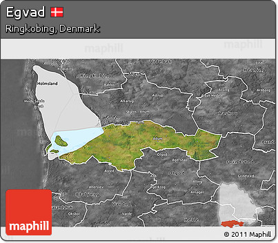 Satellite 3D Map of Egvad, desaturated