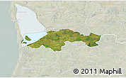 Satellite 3D Map of Egvad, lighten