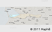 Shaded Relief Panoramic Map of Egvad, semi-desaturated