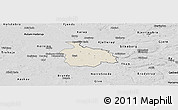Shaded Relief Panoramic Map of Ikast, desaturated