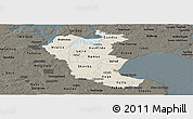 Shaded Relief Panoramic Map of Roskilde, darken