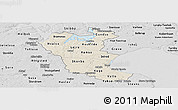 Shaded Relief Panoramic Map of Roskilde, desaturated