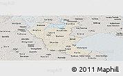 Shaded Relief Panoramic Map of Roskilde, semi-desaturated