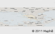 Shaded Relief Panoramic Map of Vordingborg, semi-desaturated