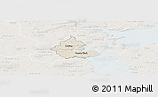 Shaded Relief Panoramic Map of Kolding, lighten