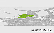 Physical Panoramic Map of Dragsholm, lighten, desaturated