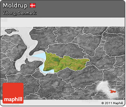 Satellite 3D Map of Moldrup, desaturated