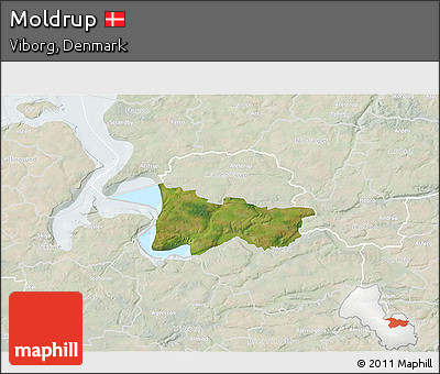 Satellite 3D Map of Moldrup, lighten