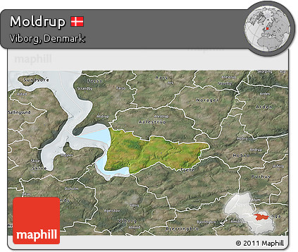 Satellite 3D Map of Moldrup, semi-desaturated