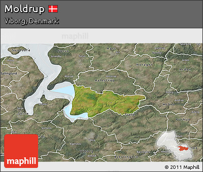 Satellite 3D Map of Moldrup, semi-desaturated