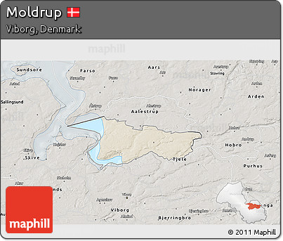 Shaded Relief 3D Map of Moldrup, semi-desaturated