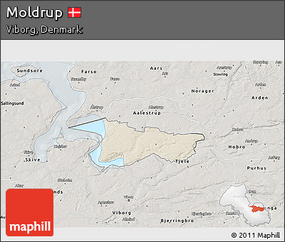 Shaded Relief 3D Map of Moldrup, semi-desaturated