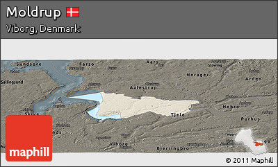 Shaded Relief Panoramic Map of Moldrup, darken