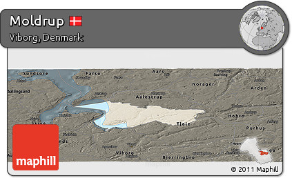 Shaded Relief Panoramic Map of Moldrup, darken