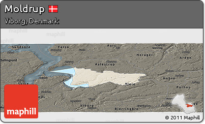 Shaded Relief Panoramic Map of Moldrup, darken
