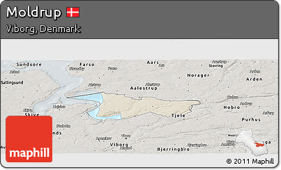 Shaded Relief Panoramic Map of Moldrup, semi-desaturated