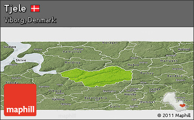 Physical Panoramic Map of Tjele, semi-desaturated