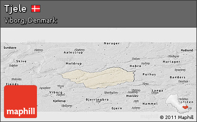Shaded Relief Panoramic Map of Tjele, desaturated