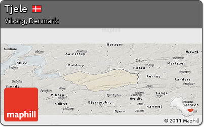 Shaded Relief Panoramic Map of Tjele, semi-desaturated