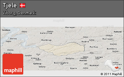 Shaded Relief Panoramic Map of Tjele, semi-desaturated