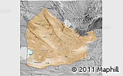 Satellite 3D Map of Dikhil, desaturated