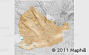 Satellite 3D Map of Dikhil, lighten, desaturated