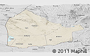 Shaded Relief Panoramic Map of Dikhil, desaturated