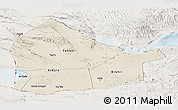 Shaded Relief Panoramic Map of Dikhil, lighten