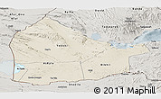Shaded Relief Panoramic Map of Dikhil, semi-desaturated