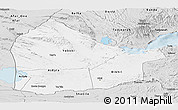 Silver Style Panoramic Map of Dikhil