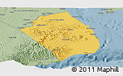 Savanna Style Panoramic Map of Obock