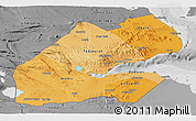Political Shades Panoramic Map of Djibouti, desaturated