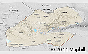 Shaded Relief Panoramic Map of Djibouti, desaturated
