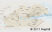 Shaded Relief Panoramic Map of Djibouti, lighten