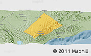 Savanna Style Panoramic Map of Randa