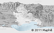 Gray Panoramic Map of Azua