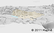 Shaded Relief Panoramic Map of Baoruco, desaturated