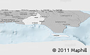 Gray Panoramic Map of La Romana