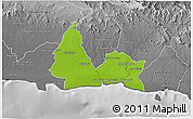 Physical 3D Map of San Pedro de Macoris, desaturated