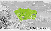 Physical 3D Map of Sanchez Ramirez, lighten, desaturated