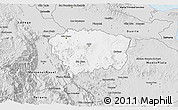 Silver Style 3D Map of Sanchez Ramirez