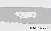 Gray Panoramic Map of Sanchez Ramirez, single color outside
