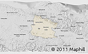 Shaded Relief 3D Map of Valverde, desaturated