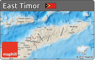 Shaded Relief Map of East Timor