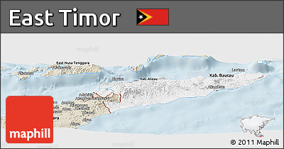 Classic Style Panoramic Map of East Timor