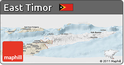 Classic Style Panoramic Map of East Timor