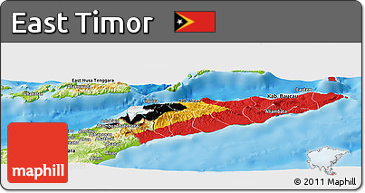 Flag Panoramic Map of East Timor, physical outside