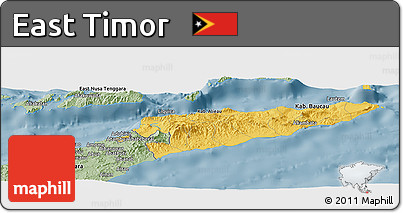 Savanna Style Panoramic Map of East Timor
