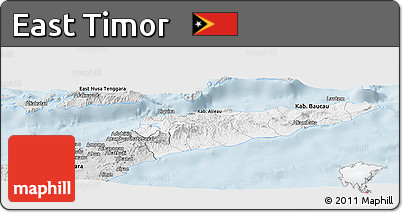 Silver Style Panoramic Map of East Timor